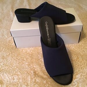 Navy slides
